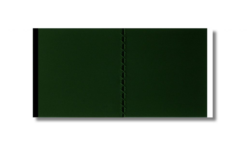 OmU 2 (zusammenhalten) 2013 | 40x80cm, 2-tlg | Öl, Metallklammern/Leinwand